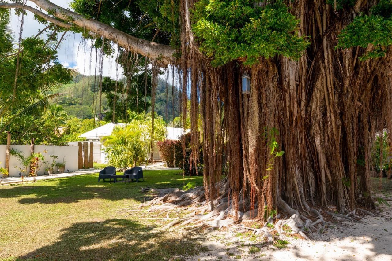 Moorea Beach Lodge Exterior foto