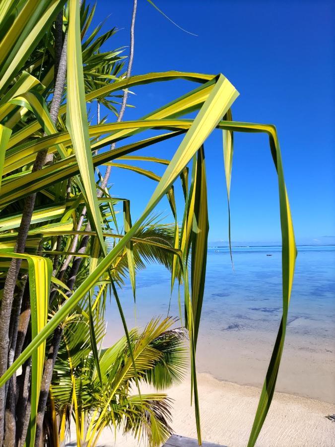 Moorea Beach Lodge Exterior foto